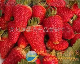 大量草莓 批发价格 厂家 图片 食品招商网